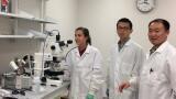 Temperature- Controlled Microscopy Used to Study Multiscale Biomaterials to Engineer Living Cells and Tissues